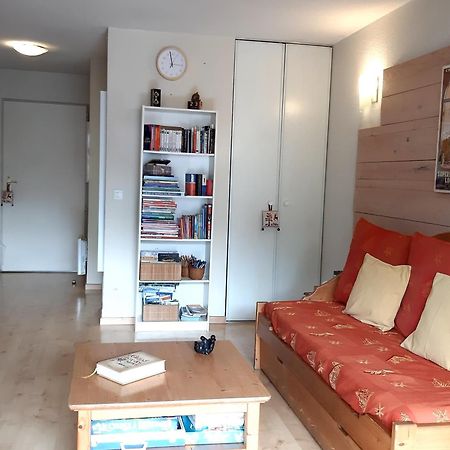 Le 102, T3 Pour 5 Personnes, Vue Montagne, Classe 2 Etoiles Nf, Parking, Piscine En Ete Bagneres-de-Luchon Exterior photo